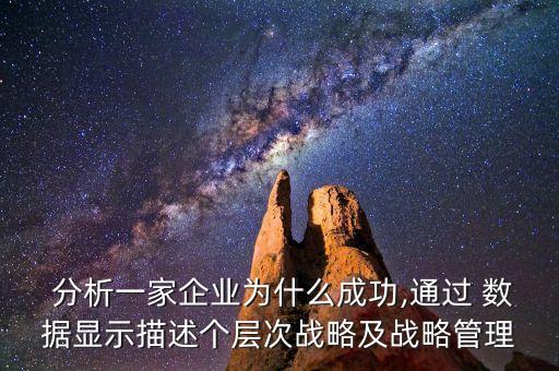  分析一家企業(yè)為什么成功,通過(guò) 數(shù)據(jù)顯示描述個(gè)層次戰(zhàn)略及戰(zhàn)略管理