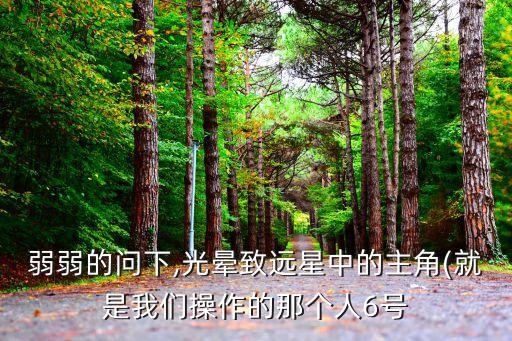 弱弱的問下,光暈致遠星中的主角(就是我們操作的那個人6號