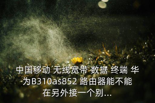 中國移動 無線寬帶 數(shù)據(jù) 終端 華為B310as852 路由器能不能在另外接一個別...