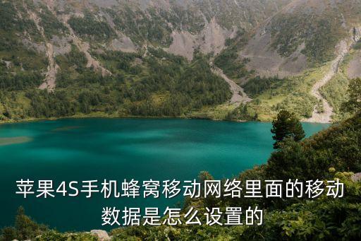 蘋果4S手機蜂窩移動網(wǎng)絡里面的移動 數(shù)據(jù)是怎么設置的