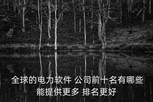  全球的電力軟件 公司前十名有哪些能提供更多 排名更好
