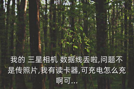 我的 三星相機(jī) 數(shù)據(jù)線丟啦,問題不是傳照片,我有讀卡器,可充電怎么充啊可...