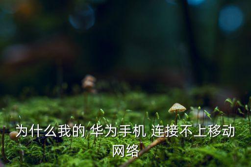 為什么我的 華為手機 連接不上移動網(wǎng)絡(luò)