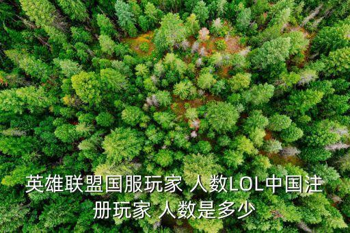 英雄聯(lián)盟國服玩家 人數LOL中國注冊玩家 人數是多少
