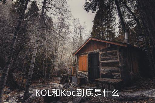 kol數(shù)據(jù)