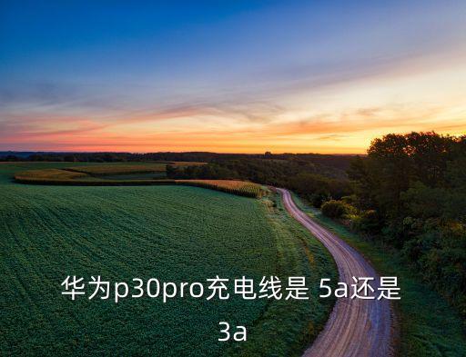 華為p30pro充電線是 5a還是3a