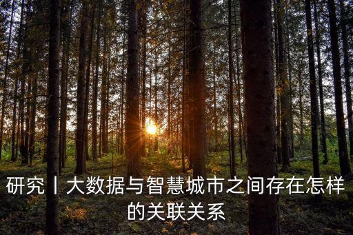 研究丨大數(shù)據(jù)與智慧城市之間存在怎樣的關(guān)聯(lián)關(guān)系