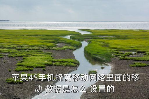  蘋果4S手機(jī)蜂窩移動(dòng)網(wǎng)絡(luò)里面的移動(dòng) 數(shù)據(jù)是怎么 設(shè)置的