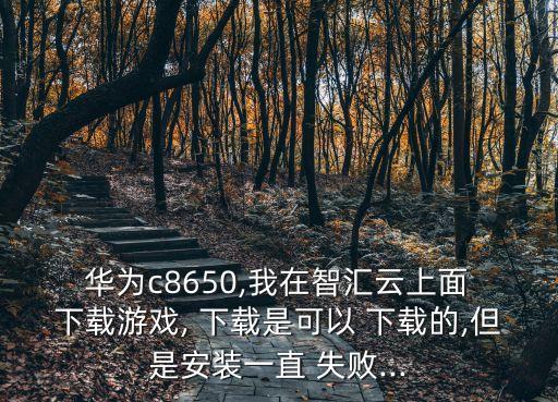 華為c8650,我在智匯云上面 下載游戲, 下載是可以 下載的,但是安裝一直 失敗...