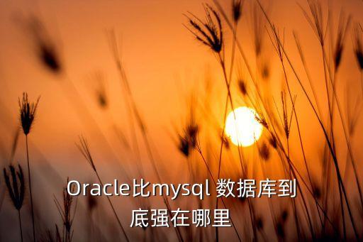 Oracle比mysql 數(shù)據(jù)庫到底強在哪里