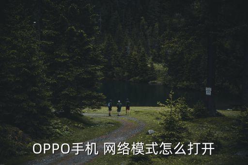OPPO手機(jī) 網(wǎng)絡(luò)模式怎么打開