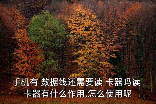 手機(jī)有 數(shù)據(jù)線還需要讀 卡器嗎讀 卡器有什么作用,怎么使用呢