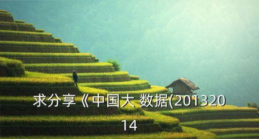求分享《中國大 數(shù)據(jù)(20132014