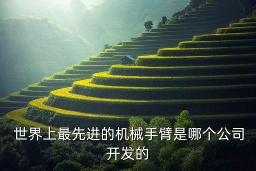 世界最發(fā)達(dá)的機(jī)器人在哪個(gè)國(guó)家