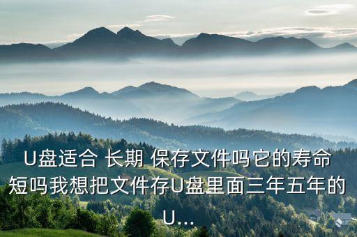 u盤長(zhǎng)期保存數(shù)據(jù),u盤不適于長(zhǎng)期保存重要數(shù)據(jù)是否正確