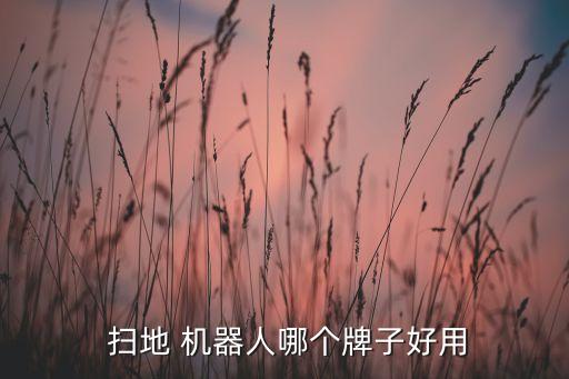  掃地 機(jī)器人哪個(gè)牌子好用