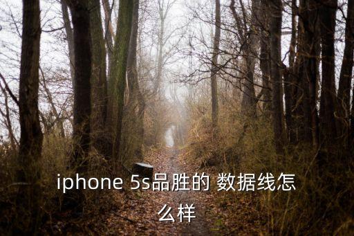 iphone 5s品勝的 數(shù)據(jù)線(xiàn)怎么樣