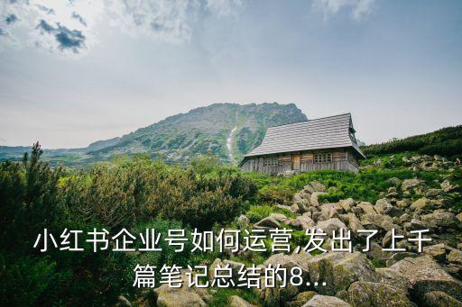  小紅書企業(yè)號如何運(yùn)營,發(fā)出了上千篇筆記總結(jié)的8...