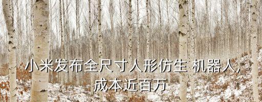小米直播都是機(jī)器人,小米機(jī)器人怎么連wifi
