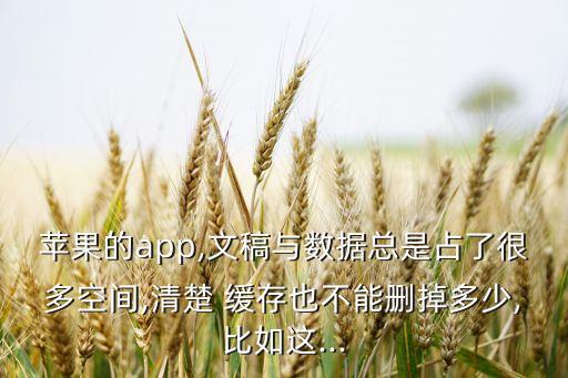 蘋果的app,文稿與數(shù)據(jù)總是占了很多空間,清楚 緩存也不能刪掉多少,比如這...