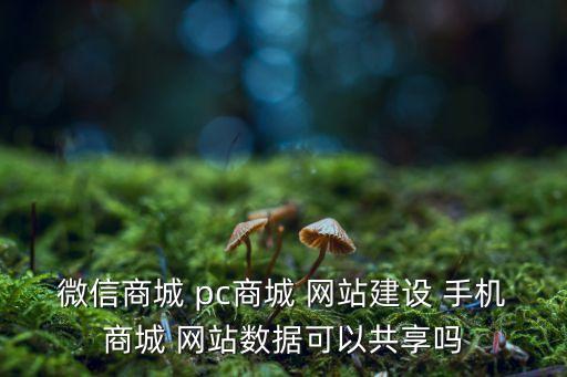 微信商城 pc商城 網(wǎng)站建設(shè) 手機(jī)商城 網(wǎng)站數(shù)據(jù)可以共享嗎
