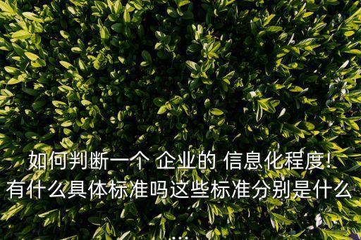 如何判斷一個 企業(yè)的 信息化程度!有什么具體標(biāo)準(zhǔn)嗎這些標(biāo)準(zhǔn)分別是什么...