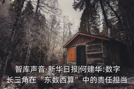  智庫(kù)聲音·新華日?qǐng)?bào)|何建華:數(shù)字長(zhǎng)三角在“東數(shù)西算”中的責(zé)任擔(dān)當(dāng)