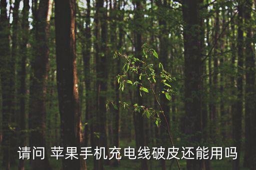 請問 蘋果手機(jī)充電線破皮還能用嗎