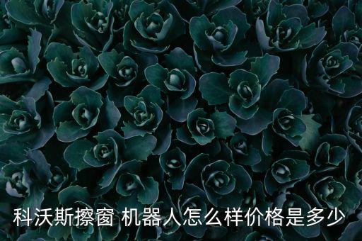 科沃斯擦窗 機器人怎么樣價格是多少