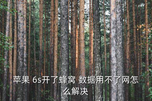 蘋果 6s開了蜂窩 數(shù)據(jù)用不了網(wǎng)怎么解決