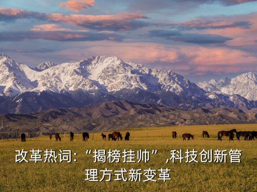 創(chuàng)澤機(jī)器人