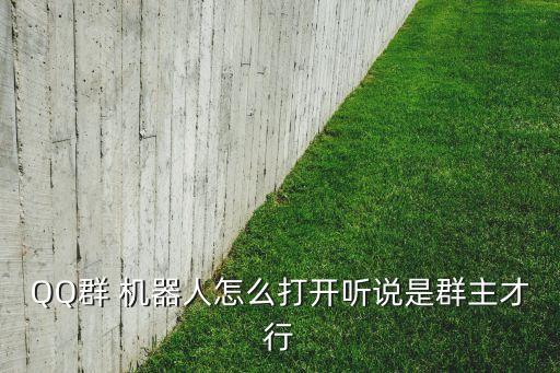 QQ群 機(jī)器人怎么打開聽說(shuō)是群主才行