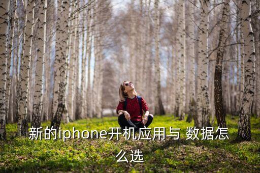 新的iphone開機(jī)應(yīng)用與 數(shù)據(jù)怎么選