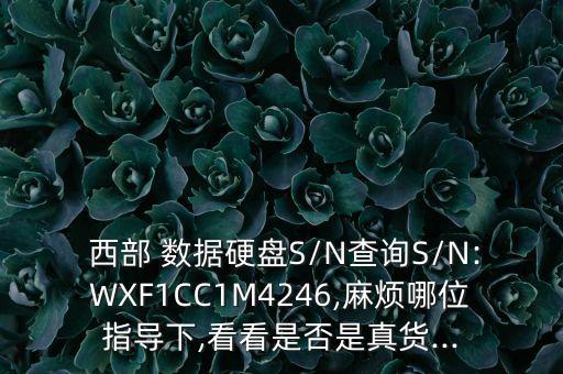  西部 數(shù)據(jù)硬盤(pán)S/N查詢(xún)S/N:WXF1CC1M4246,麻煩哪位指導(dǎo)下,看看是否是真貨...