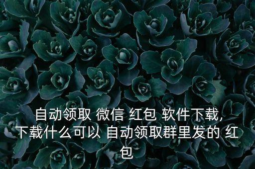  自動(dòng)領(lǐng)取 微信 紅包 軟件下載,下載什么可以 自動(dòng)領(lǐng)取群里發(fā)的 紅包