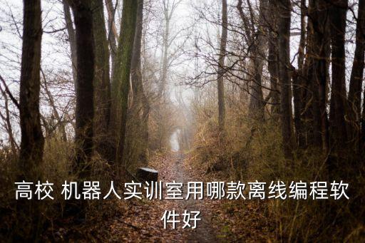 高校 機器人實訓室用哪款離線編程軟件好