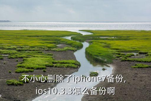 ios10.3.3數據連接