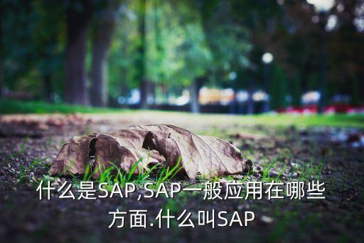 什么是SAP,SAP一般應用在哪些方面.什么叫SAP