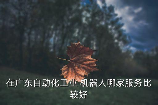 在廣東自動(dòng)化工業(yè) 機(jī)器人哪家服務(wù)比較好