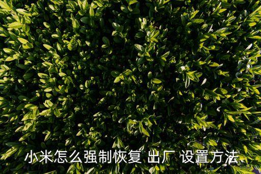  小米怎么強(qiáng)制恢復(fù) 出廠 設(shè)置方法