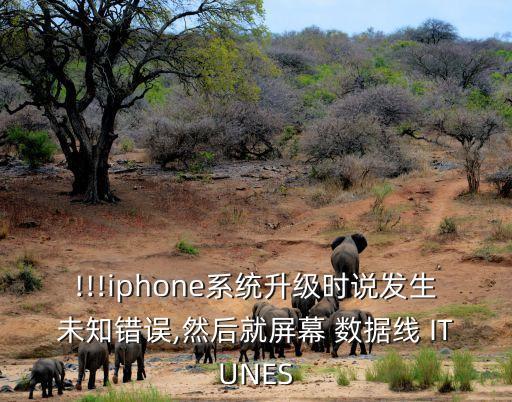 !!!iphone系統(tǒng)升級(jí)時(shí)說發(fā)生未知錯(cuò)誤,然后就屏幕 數(shù)據(jù)線 ITUNES