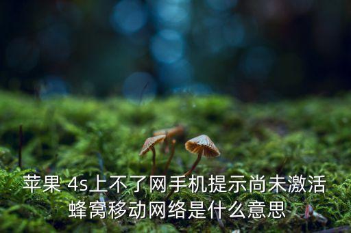 蘋果 4s上不了網(wǎng)手機(jī)提示尚未激活 蜂窩移動(dòng)網(wǎng)絡(luò)是什么意思
