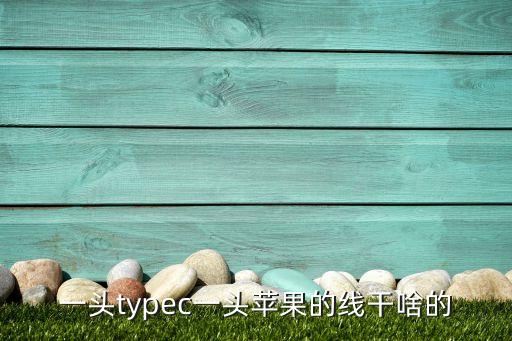 快充數(shù)據(jù)線叫什么c,蘋果快充數(shù)據(jù)線叫什么