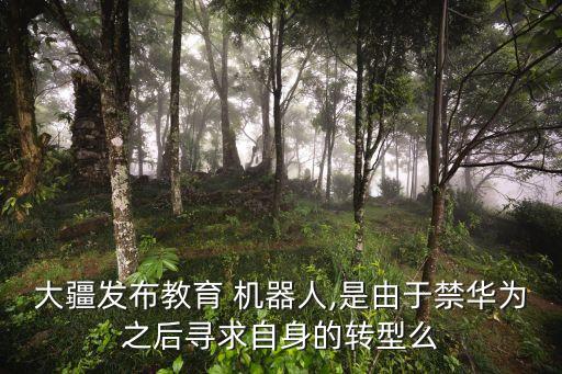大疆發(fā)布教育 機(jī)器人,是由于禁華為之后尋求自身的轉(zhuǎn)型么