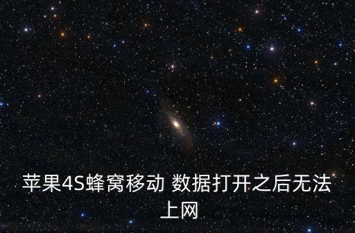 蘋果4S蜂窩移動(dòng) 數(shù)據(jù)打開之后無法 上網(wǎng)