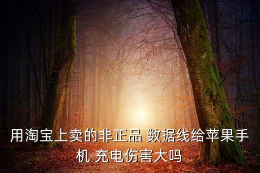 用淘寶上賣的非正品 數(shù)據(jù)線給蘋果手機 充電傷害大嗎