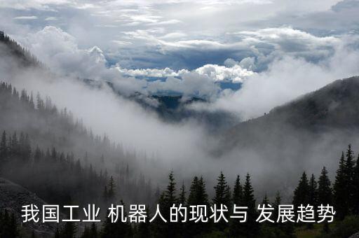 我國工業(yè) 機器人的現(xiàn)狀與 發(fā)展趨勢