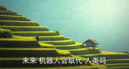 未來 機(jī)器人會取代 人類嗎