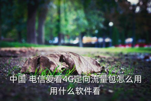 電信4g用戶(hù)數(shù)據(jù)庫(kù)