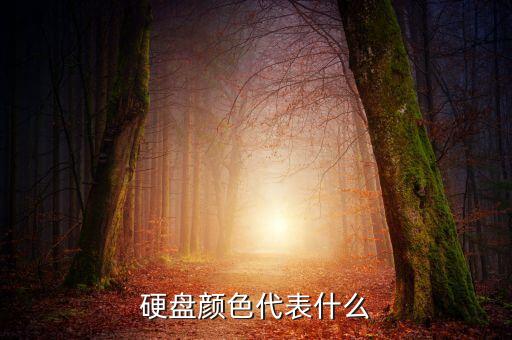 西部數(shù)據(jù) 顏色